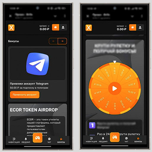 Бонусные программы